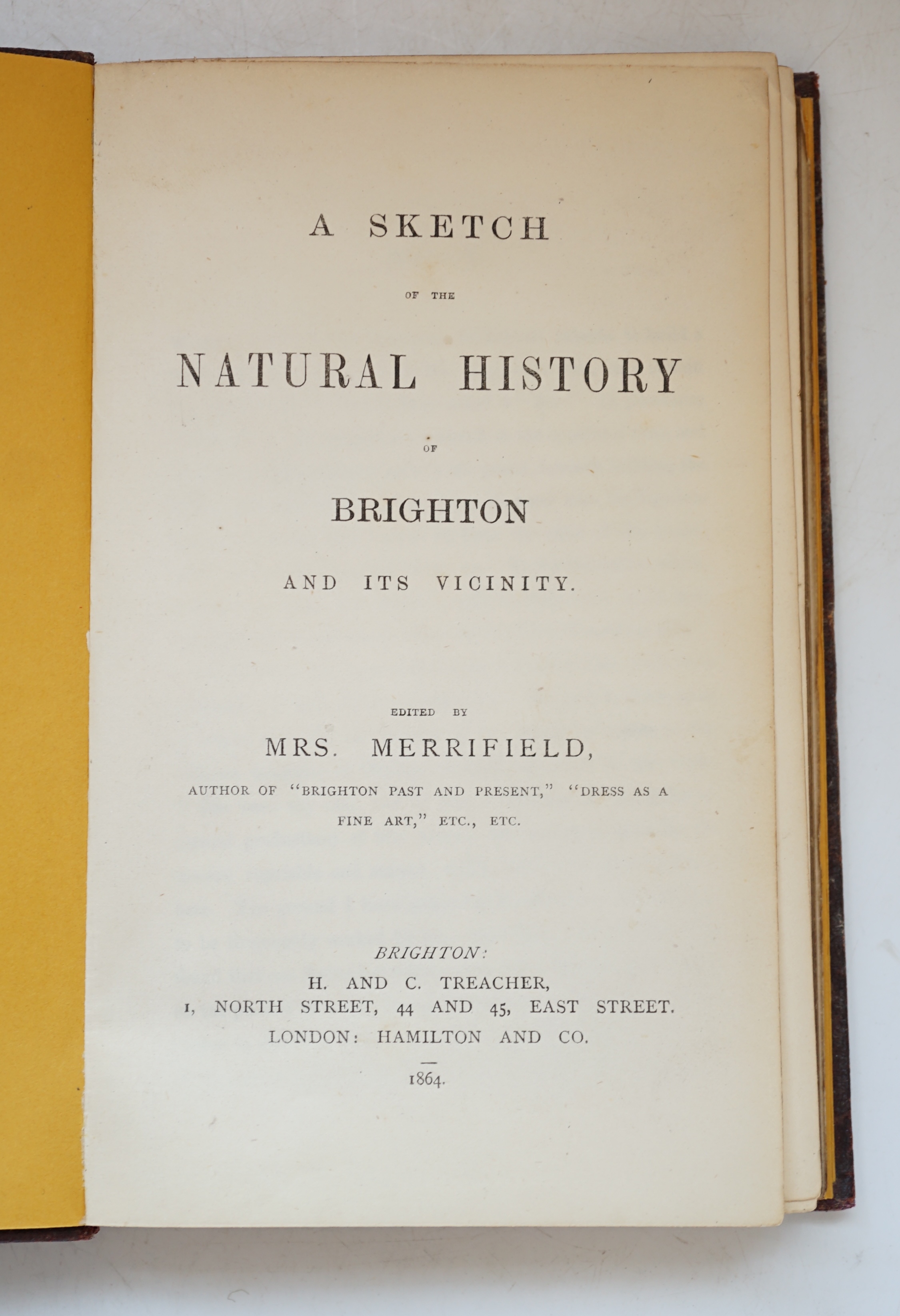 Erredge, John Ackerson - History of Brighthelmston or, Brighton as I View it and others Knew it, with a Chronological Table of Local Events, 8vo, half black morocco, split to from spine edge, Brighton, 1862; and Merrifie